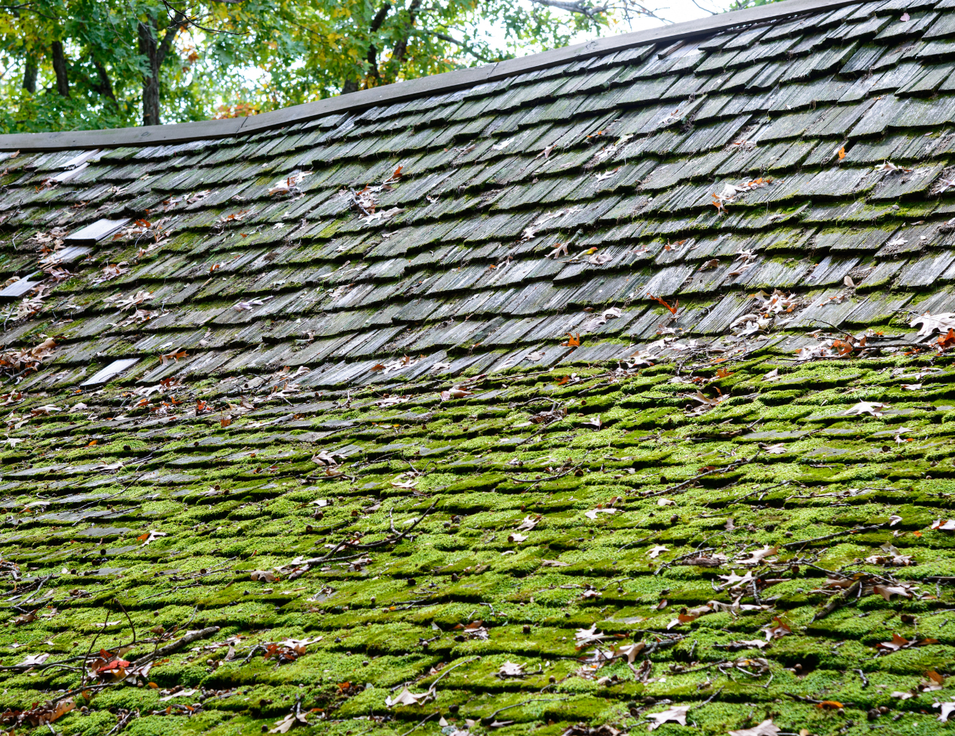 sagging roofs