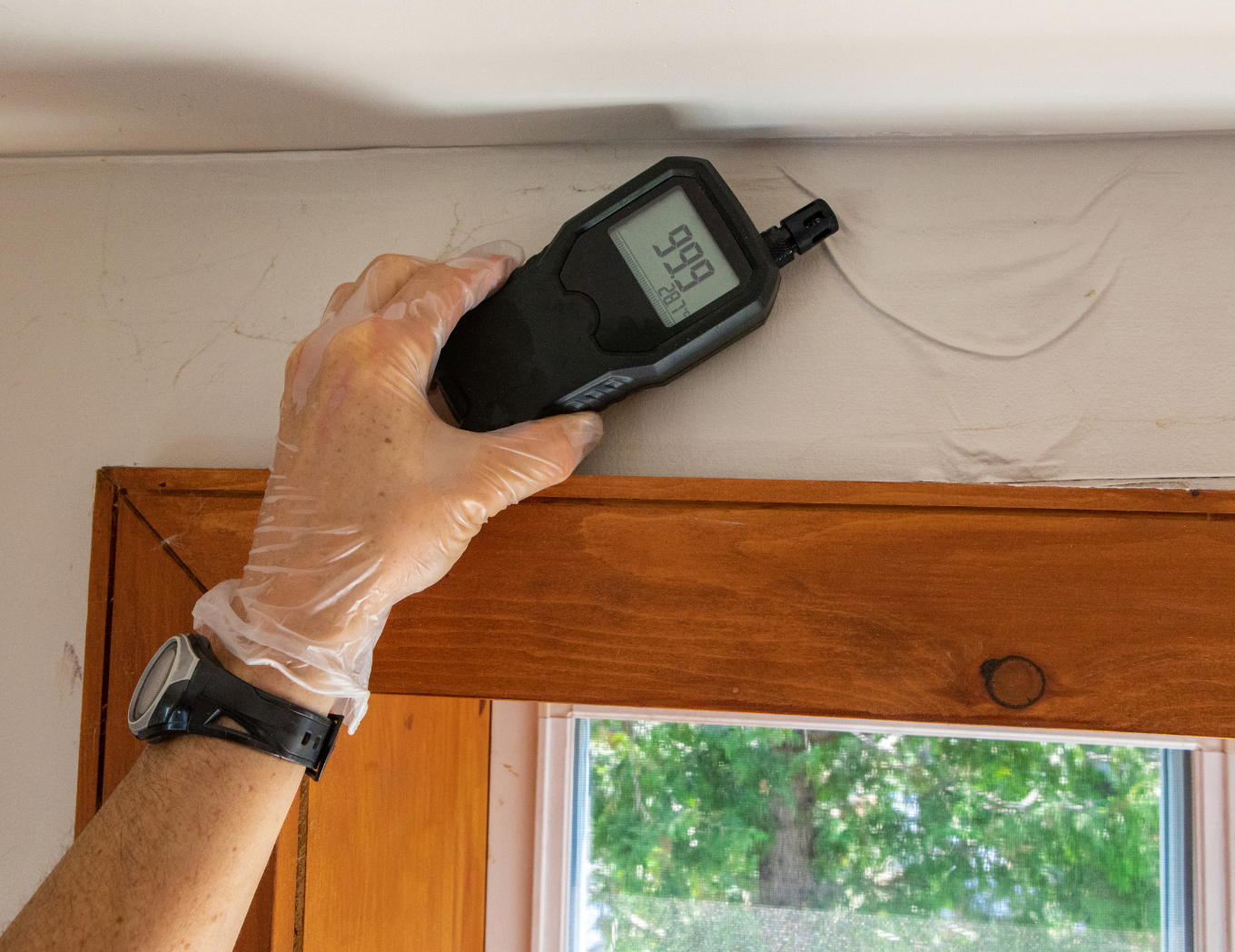 damp in your home