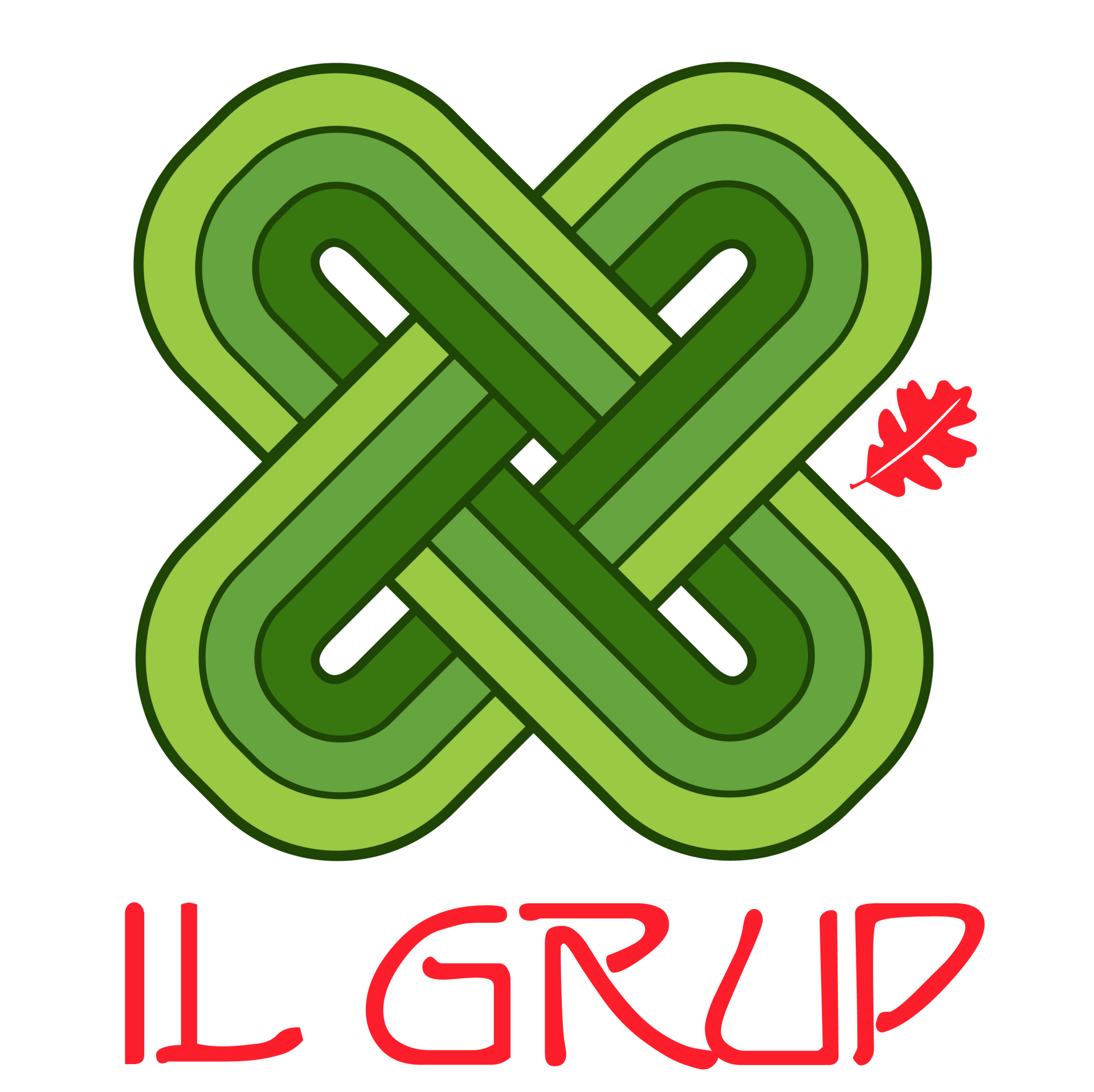 logo ILGRUP
