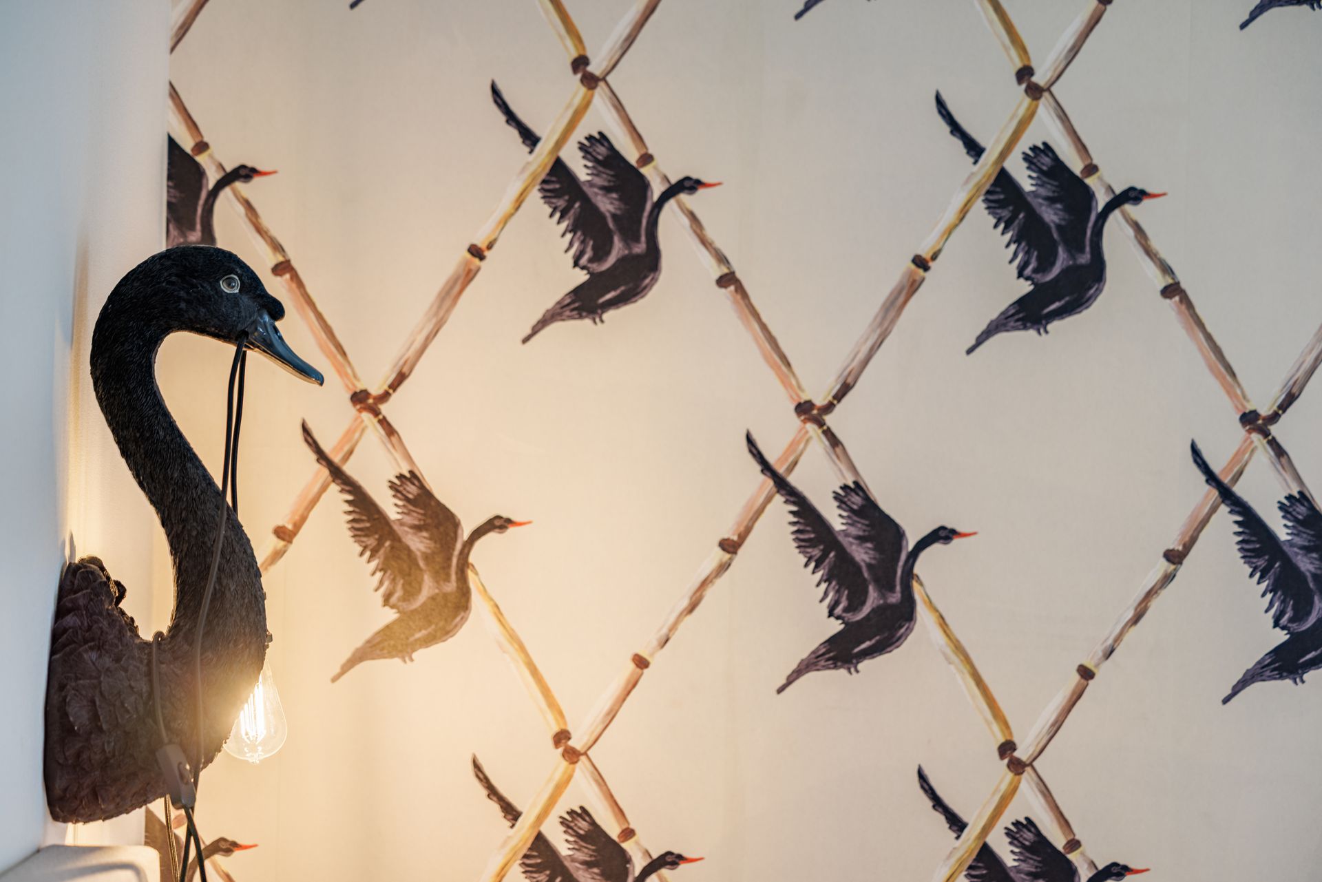 A black swan wall lamp illuminates wallpaper patterned with a repeating lattice design of flying dark birds.
