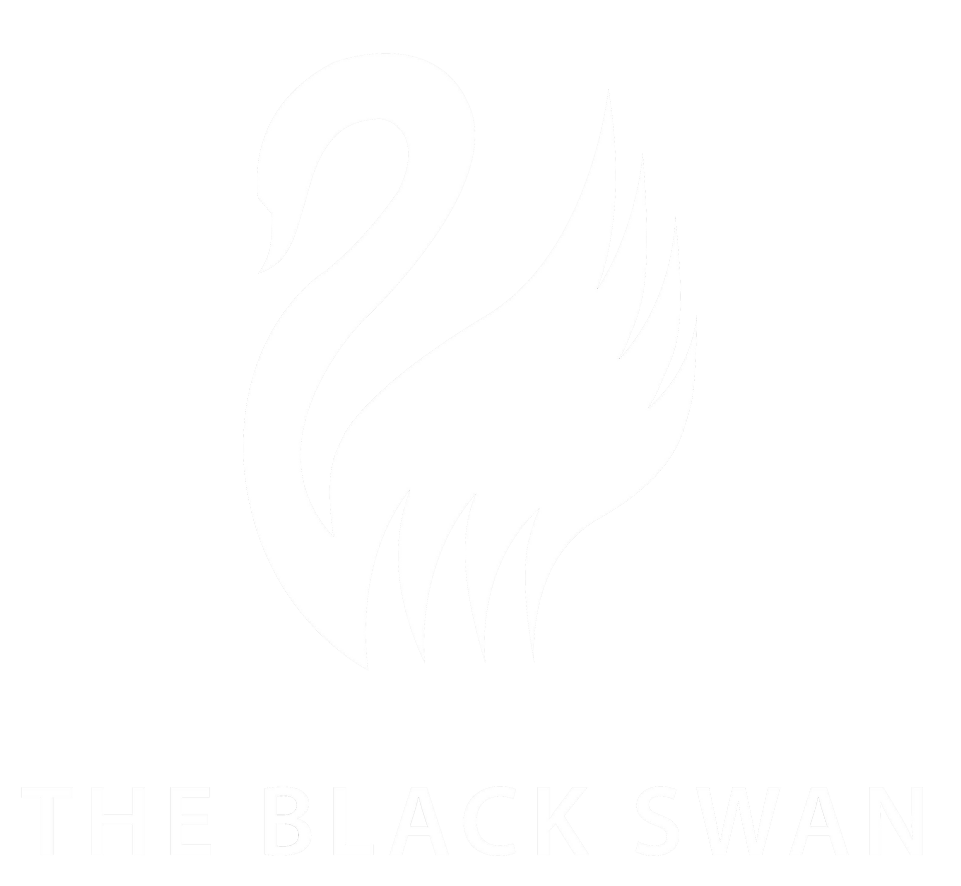 The Black Swan Hotel.