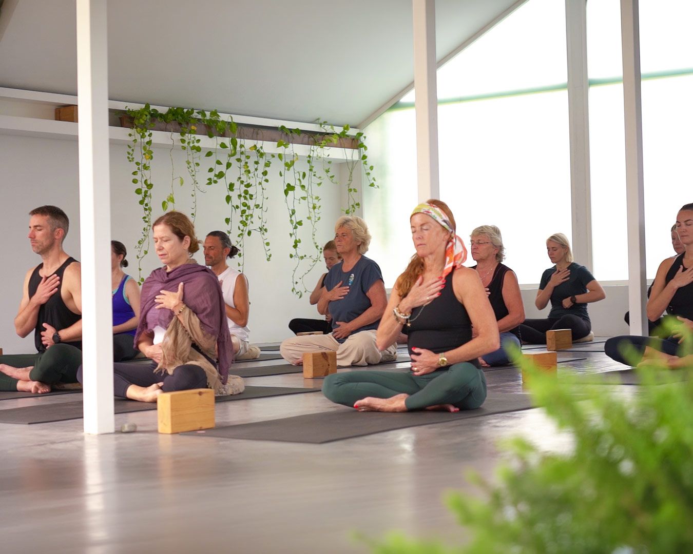 practice now app – start your yoga study online