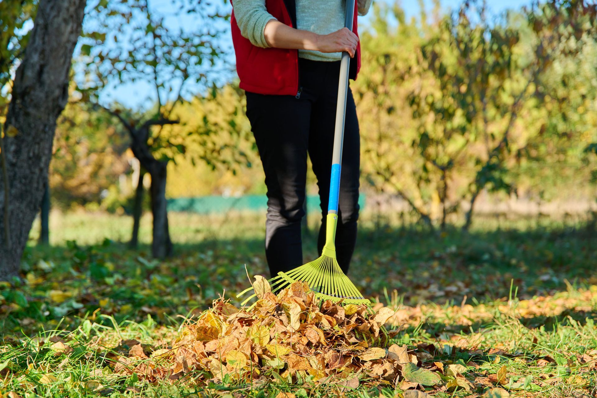 A person in a red vest rakes fallen autumn leaves into a pile on a grassy lawn.