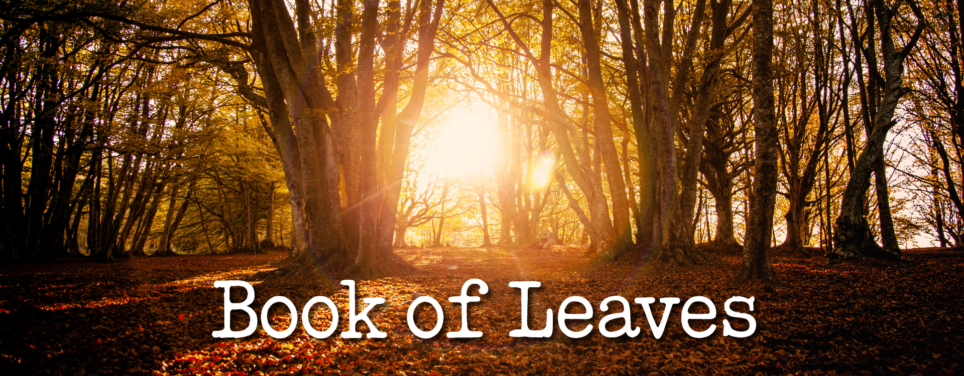 Title Treatment for Book of Leaves