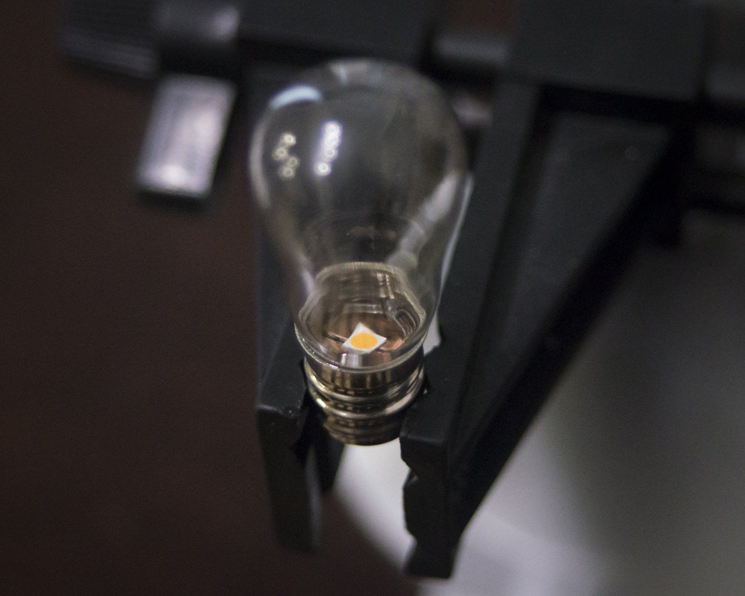 Nutshell Studies Exhibit
