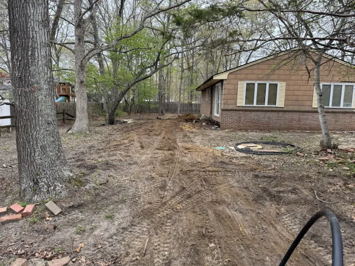 Leaf-covered yard with bare trees and a brick house in the background.