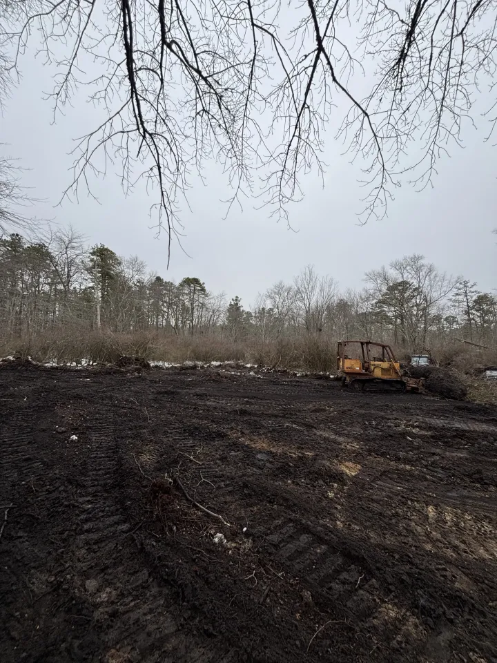 Cleared muddy field with a yellow excavator under bare tree branches and an overcast sky