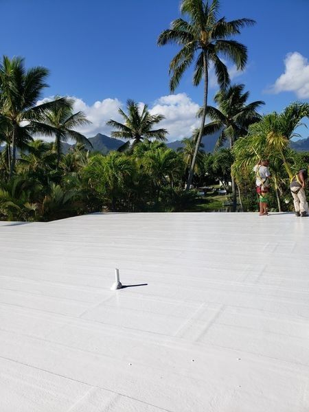 A white roof with palm trees in the background.