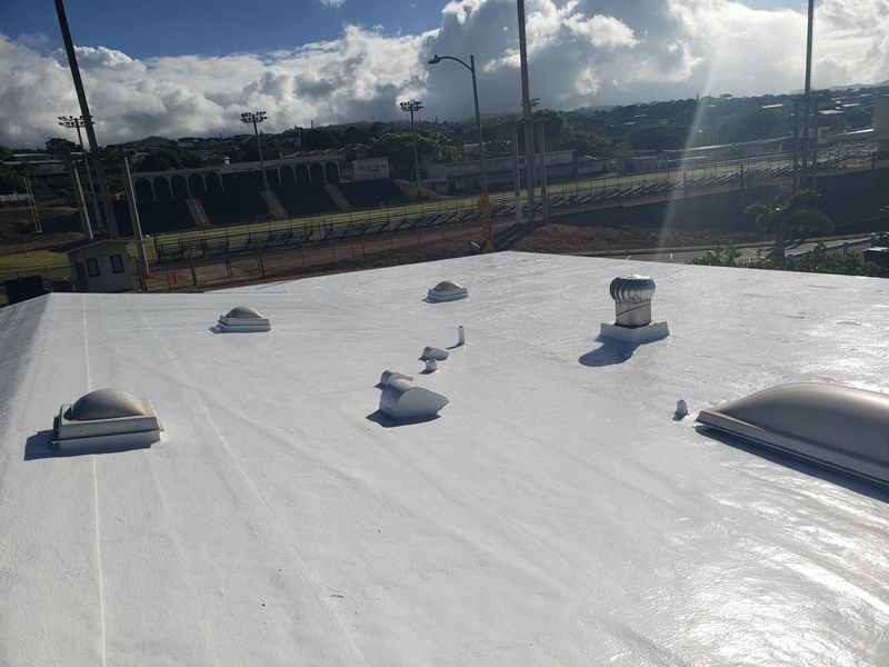 A white roof with a lot of skylights on it.