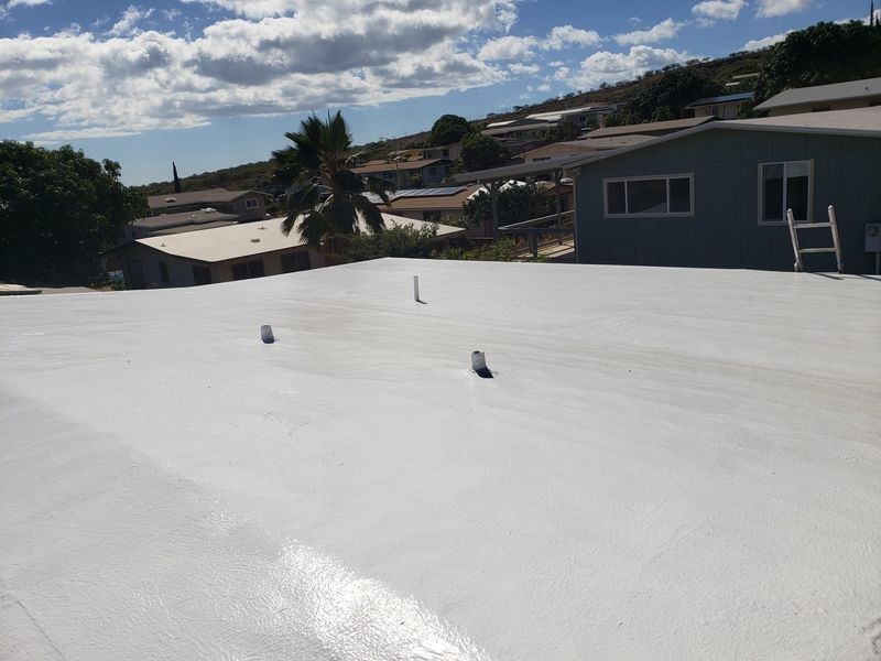 A house with a white roof and a ladder on it.