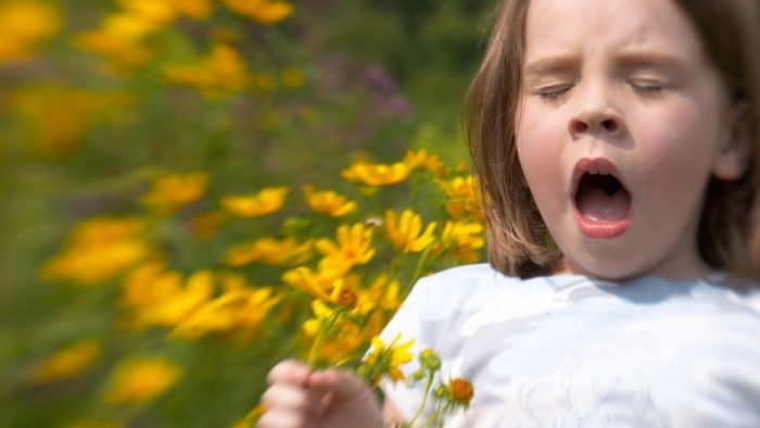 Coping with Hay Fever - Spring - Allergy Testing Brisbane | Allergy Testing Gold Coast