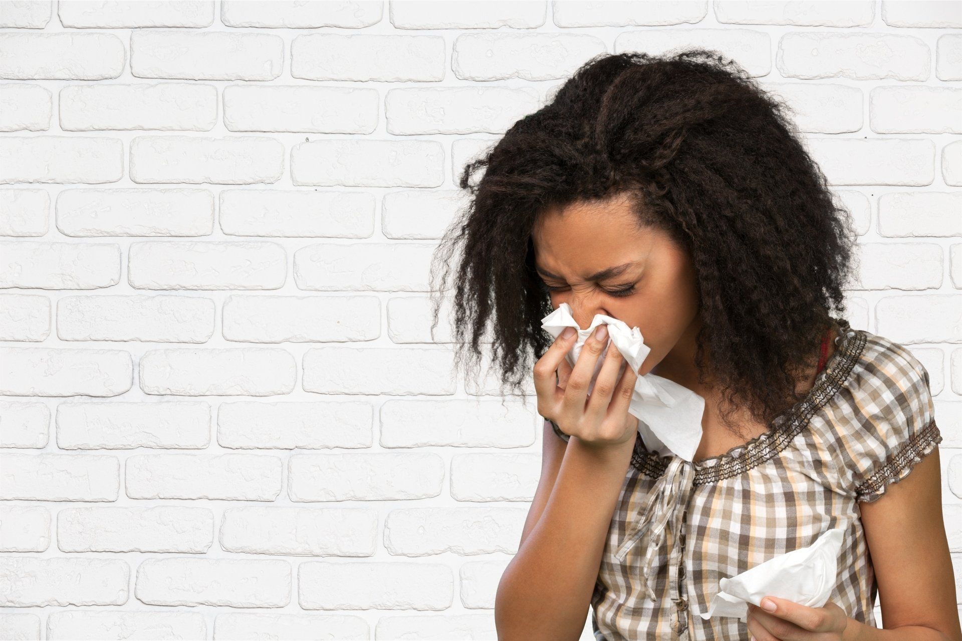 Dust Mite Allergy | Allergy Gold Coast | Allergy Brisbane | Allergy Sunshine Coast