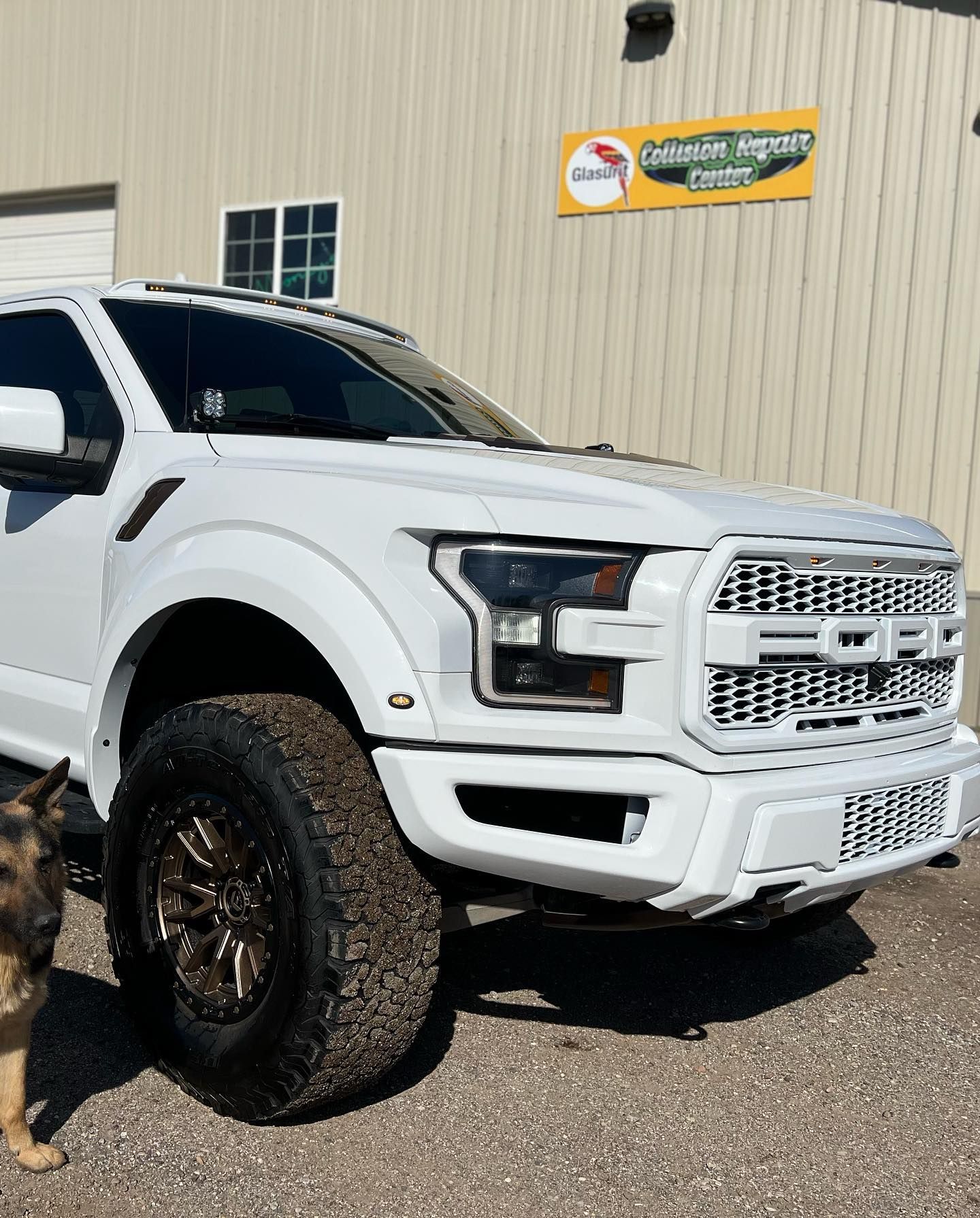 A white Ford F-150 Raptor pickup truck parked in front of a tan building, with a dog standing in the foreground.