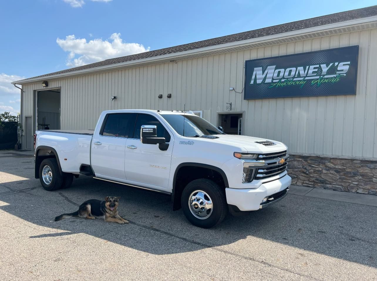 A white dually pickup truck parked in front of Mooney's building with a dog lying on the asphalt beside it.