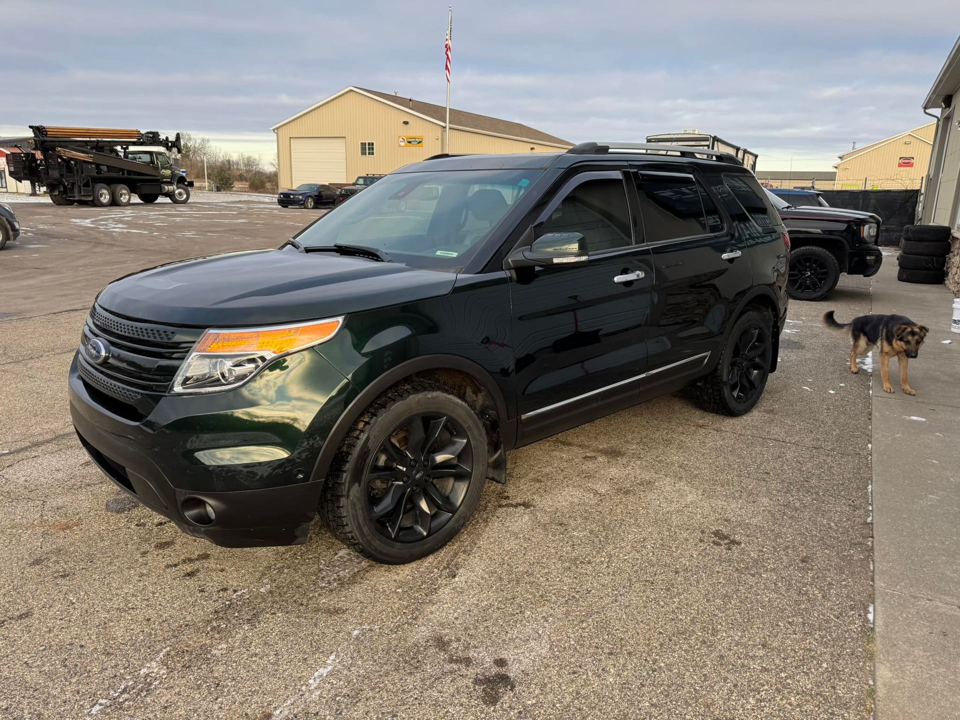 A black Ford Explorer SUV parked on a gravel lot near a building with a German Shepherd dog standing nearby.
