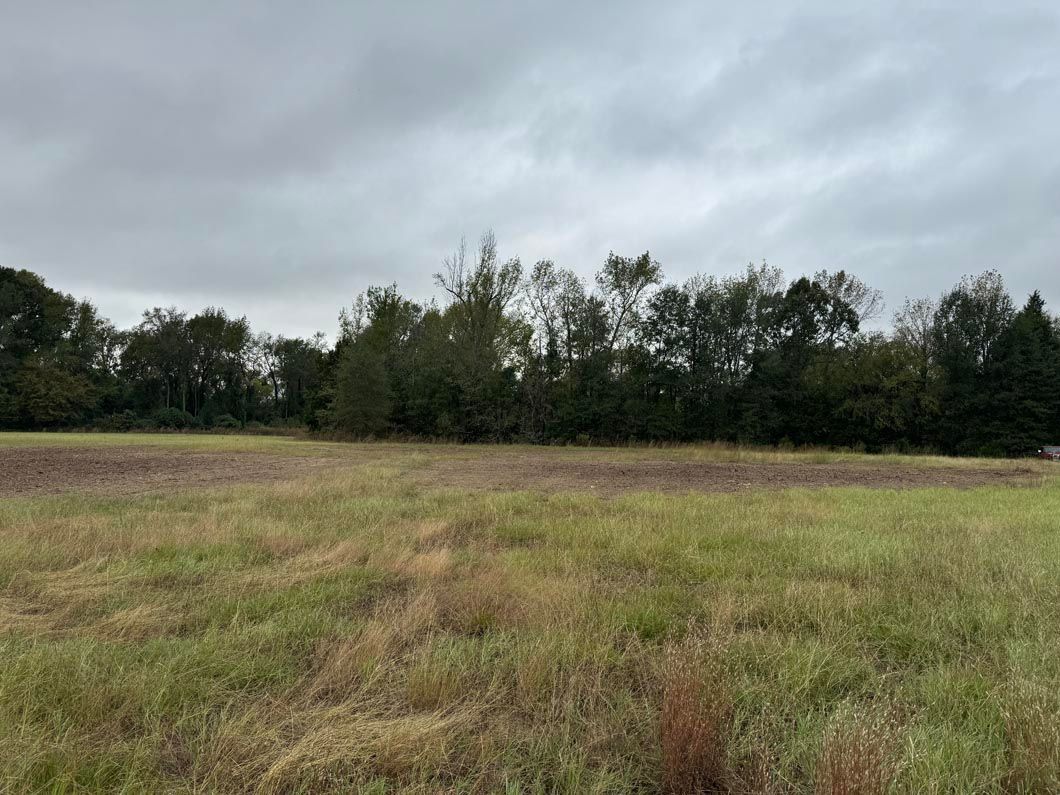 A large grassy field with trees in the background on a cloudy day.