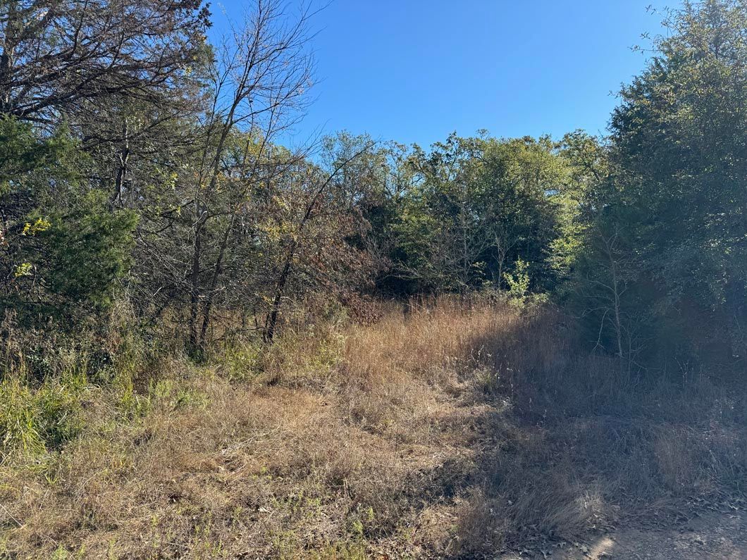 A dirt road going through a lush green forest.