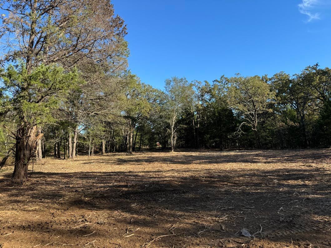 A field with trees in the background and a blue sky in the background.