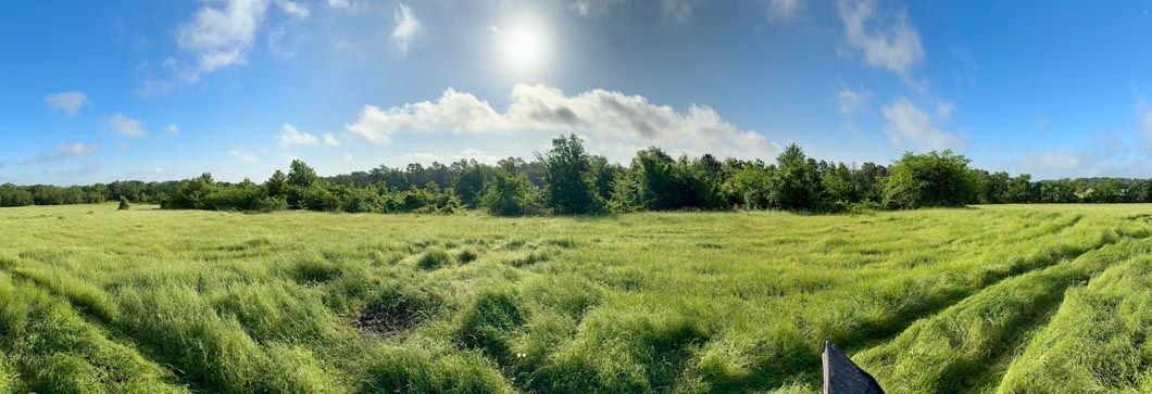 A field of grass with trees in the background and the sun shining through the clouds.