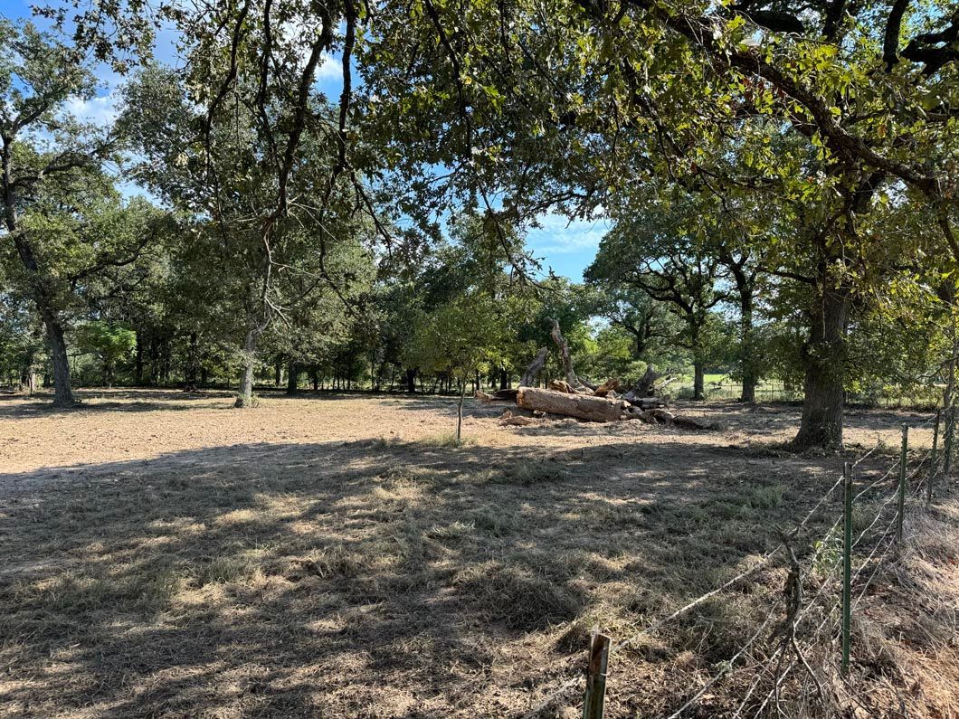 A field with trees and a fence in the background.