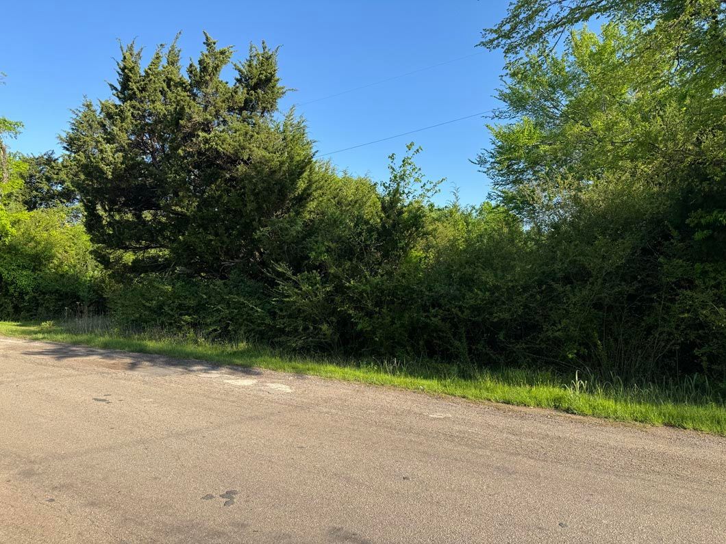 A dirt road surrounded by trees and grass on a sunny day.