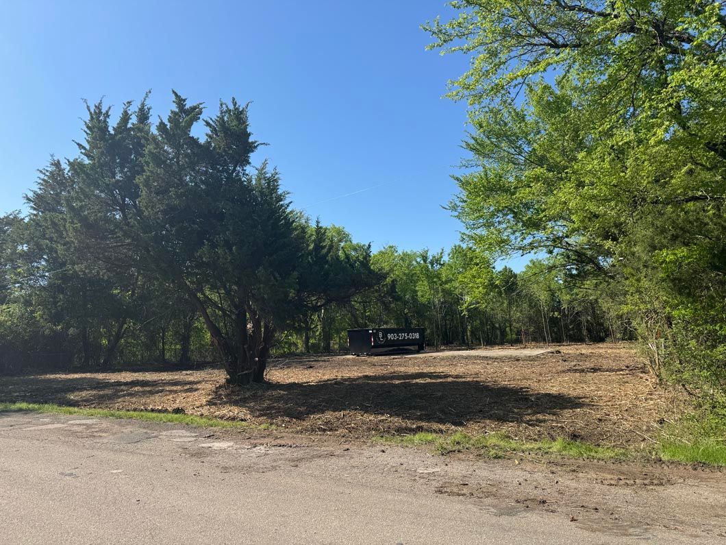 A dirt road surrounded by trees on a sunny day.