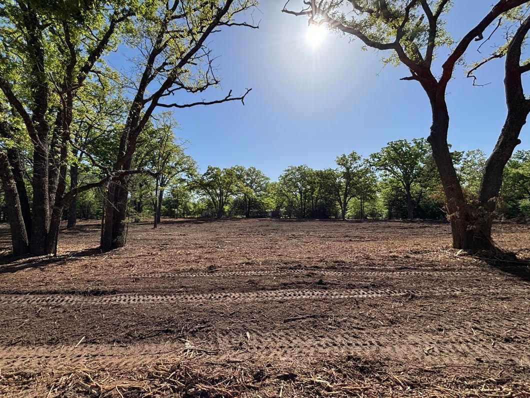 A field with trees in the background and the sun shining through the trees.