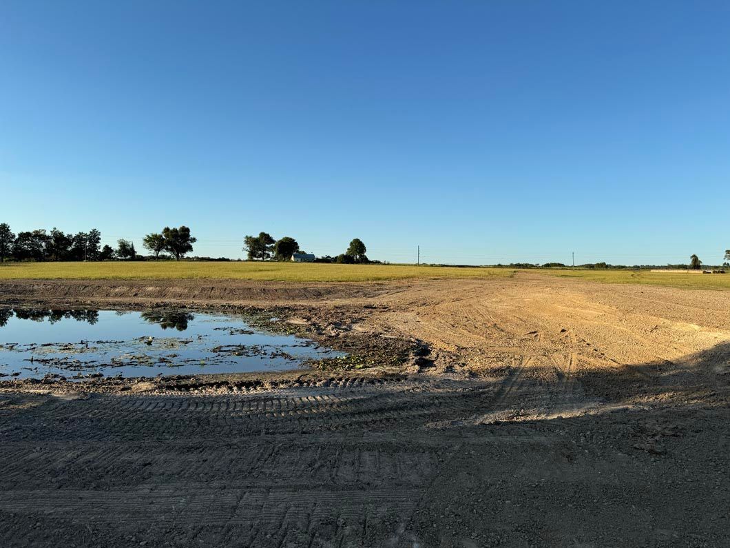 There is a small pond in the middle of a field.
