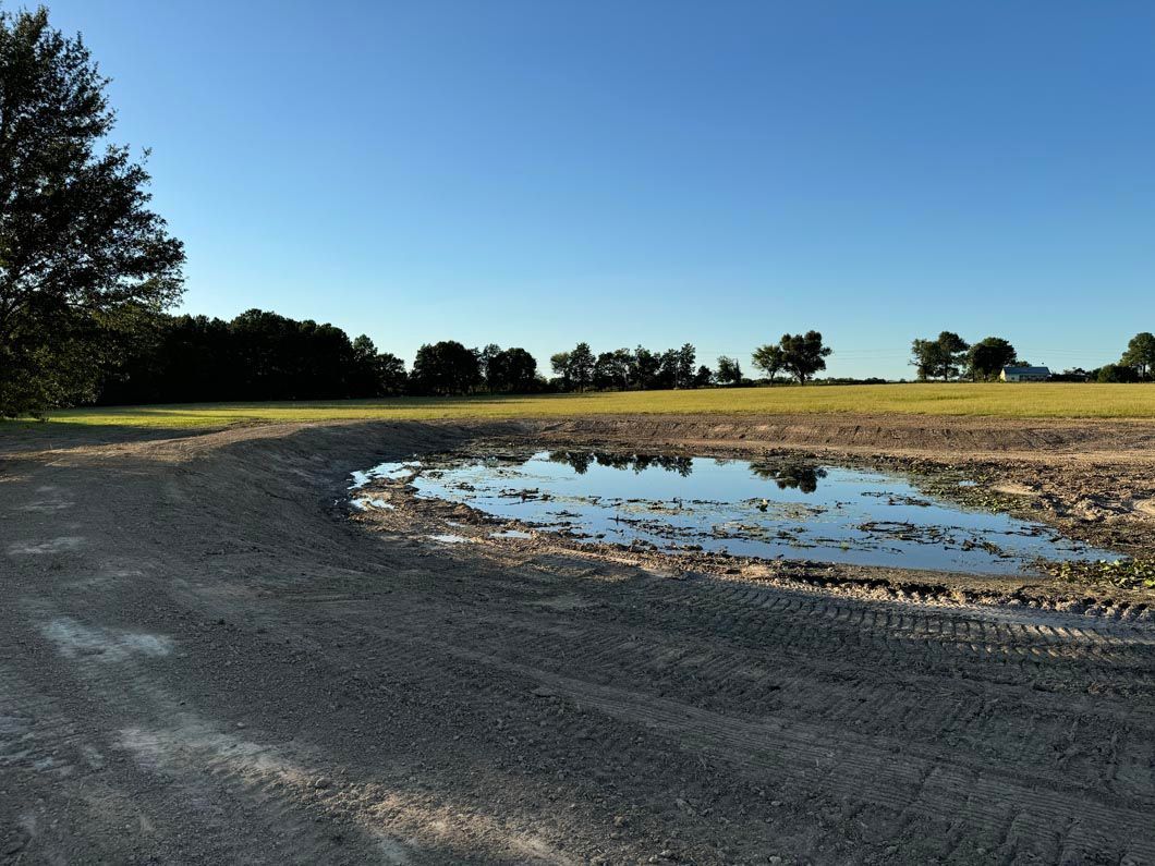A puddle of water in the middle of a dirt road
