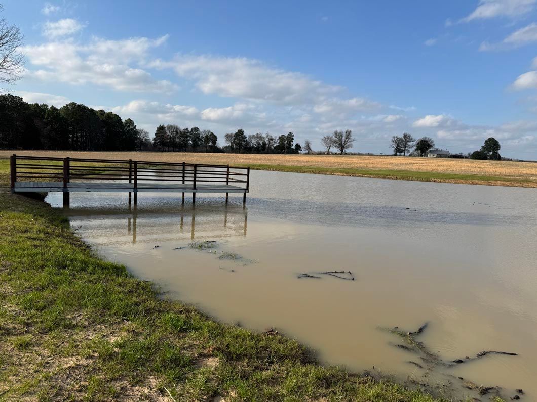 A muddy pond with a fence in the background