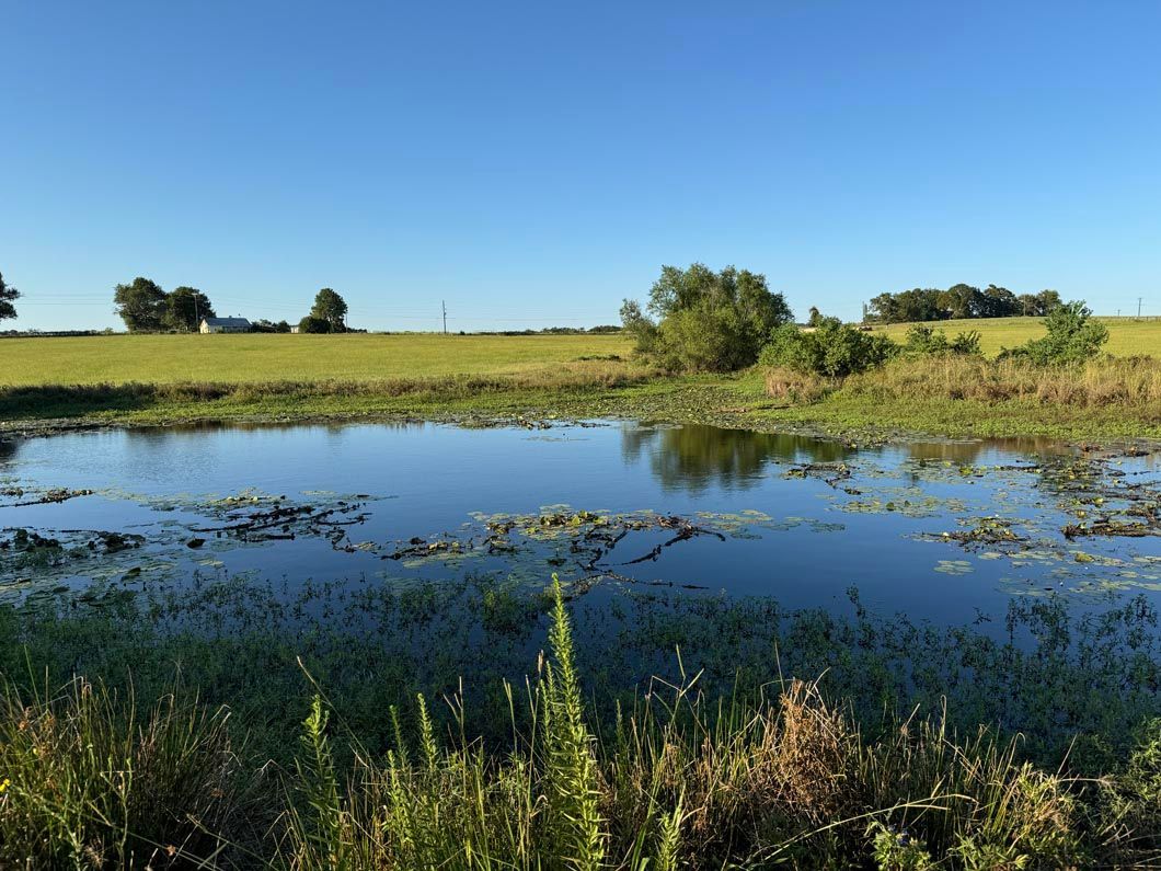 There is a small pond in the middle of a field.