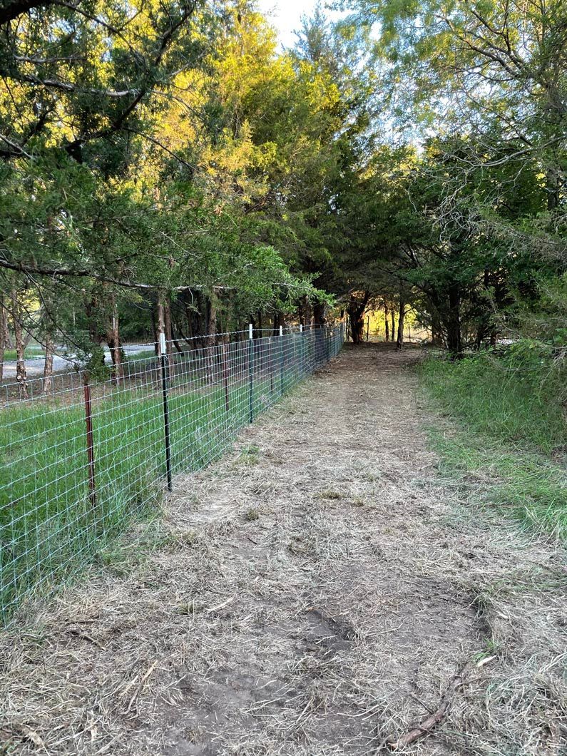 A dirt path leading to a fence in the middle of a forest.
