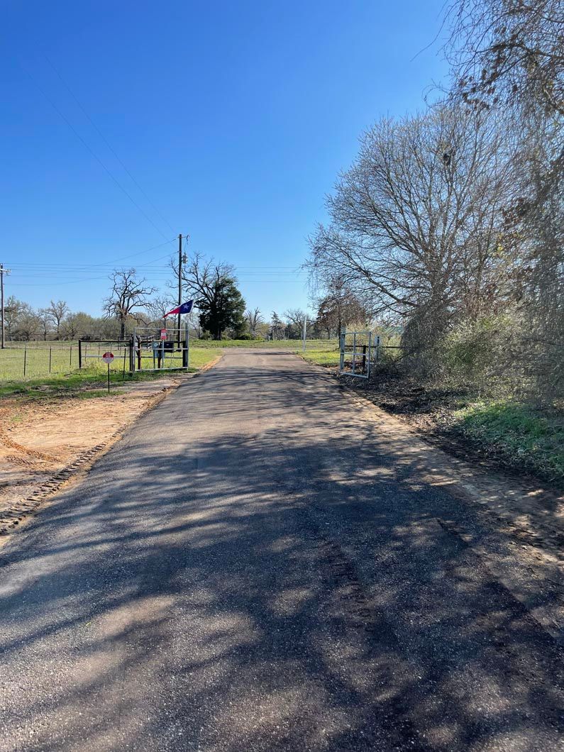 A dirt road going through a field with trees on both sides.