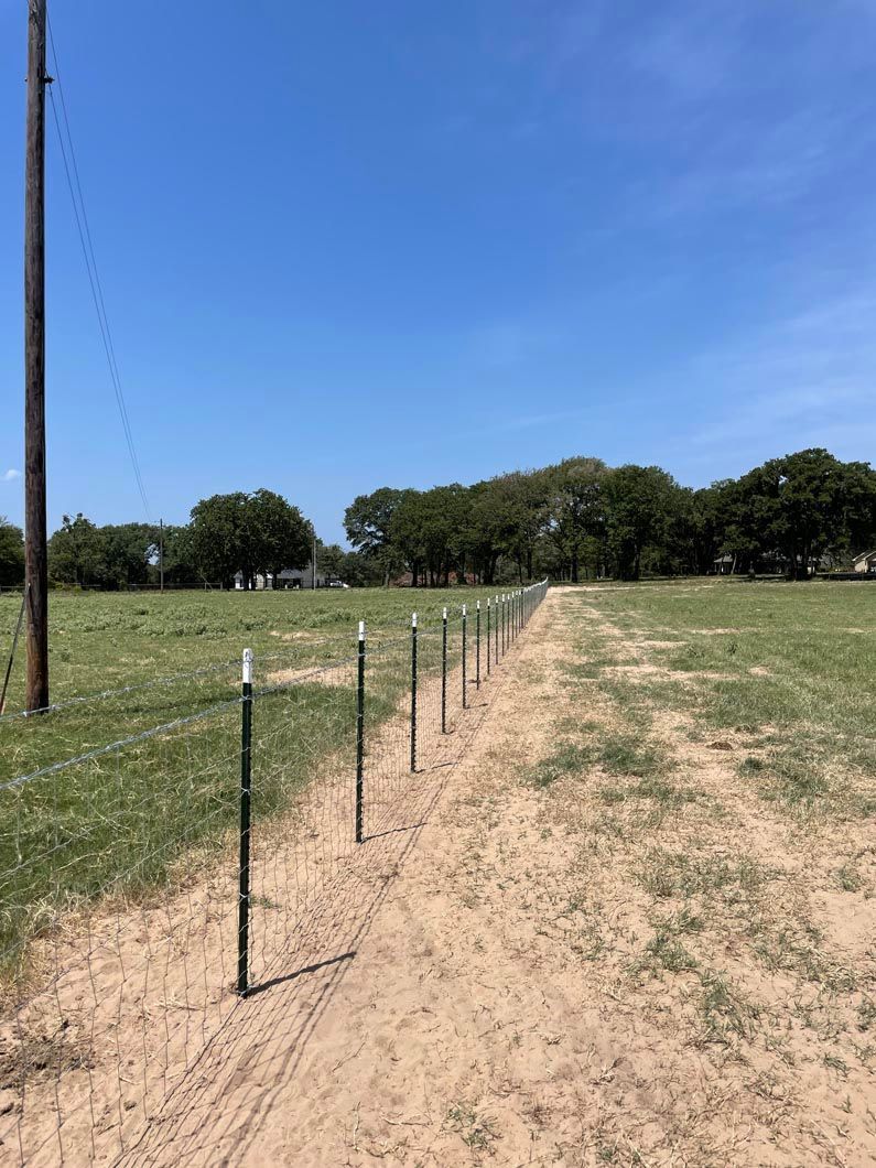 A dirt road going through a grassy field with a fence.