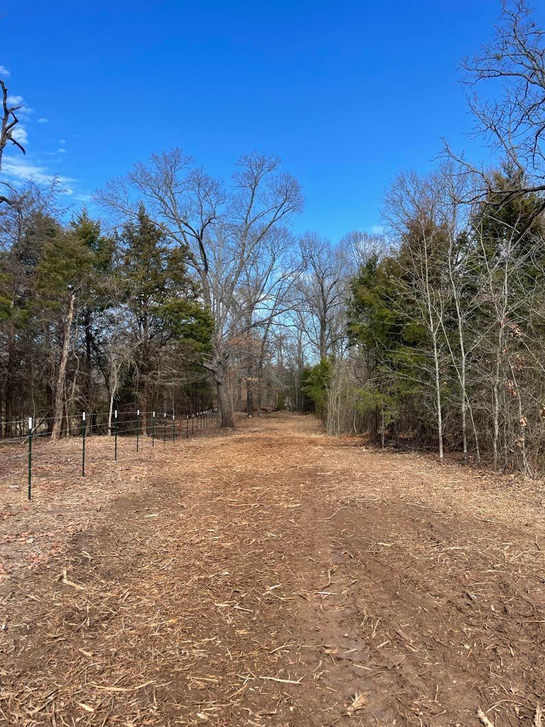 A dirt road in the middle of a forest with trees in the background.