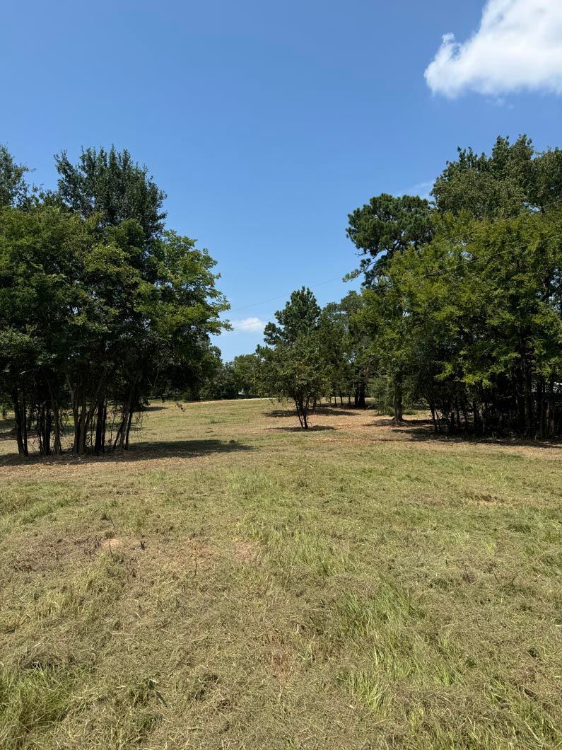 A large grassy field surrounded by trees on a sunny day.