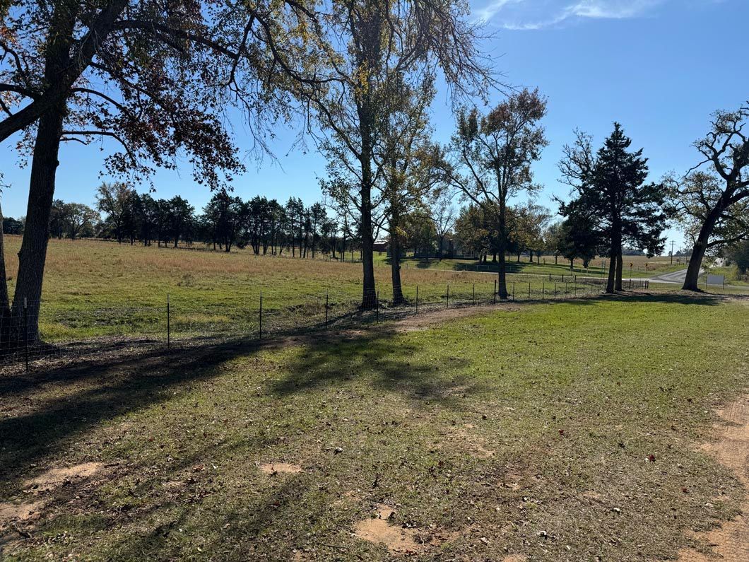 A large grassy field with trees and a fence in the background.