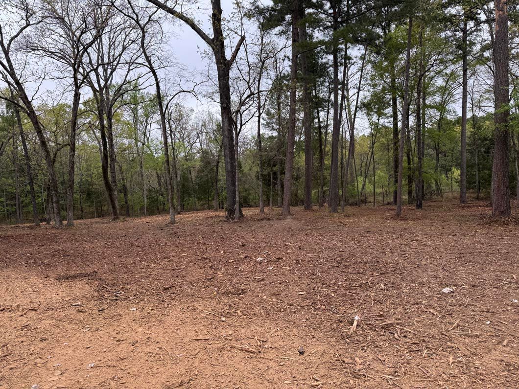 A dirt field with trees in the background and a lot of leaves on the ground.