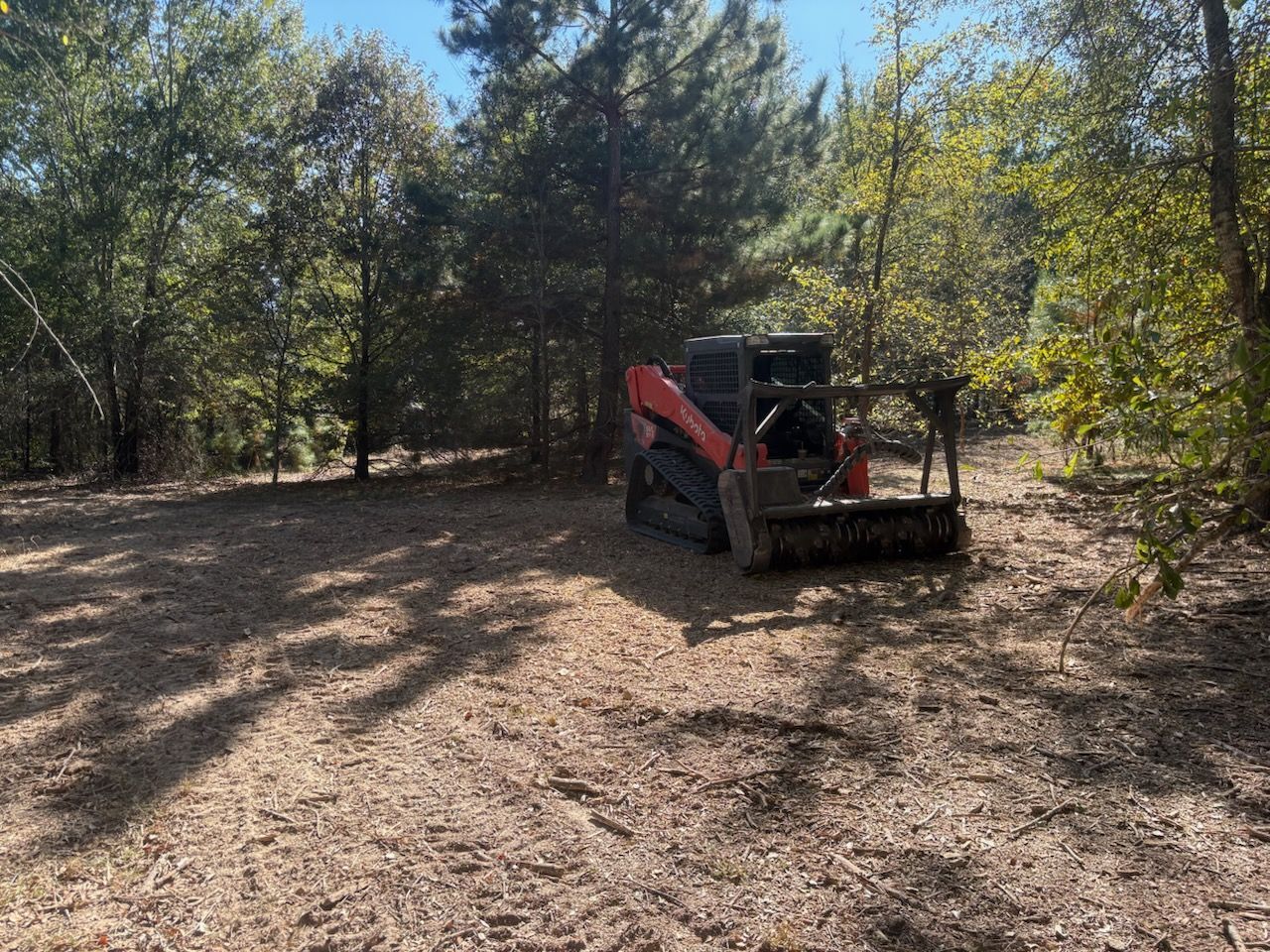 A red and black skid steer mulcher clears trees in a wooded area on a sunny day.