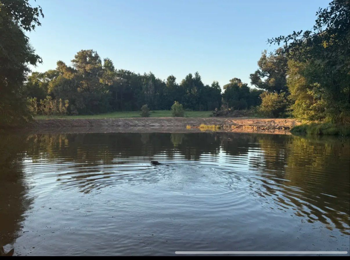 A path in the middle of a forest with trees and leaves on the ground.