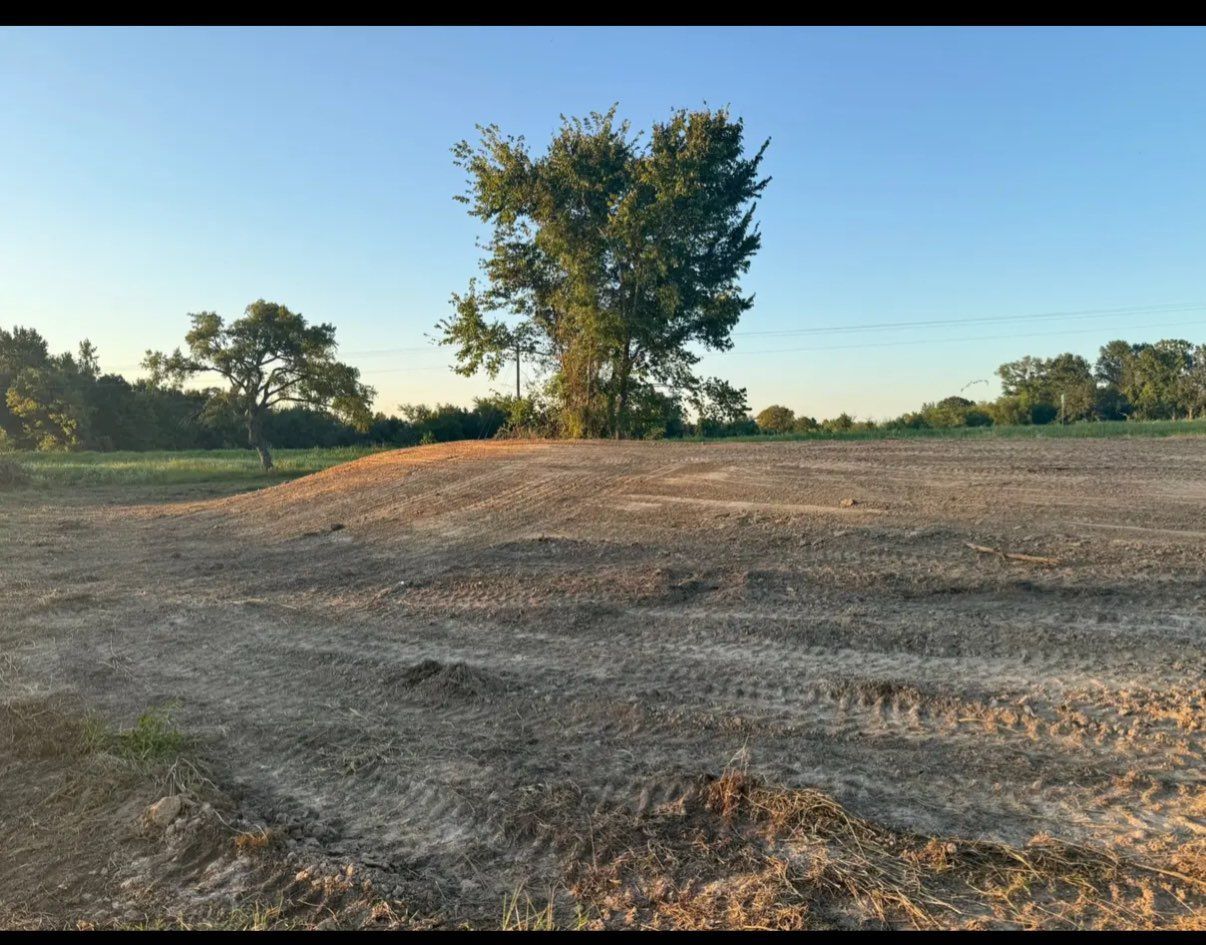 Cleared field with a large tree against a blue sky, under construction, dirt and gravel.