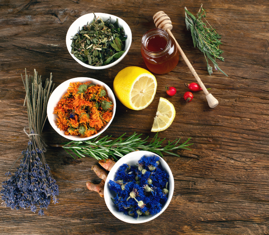 There are many different types of herbs and flowers on the table.