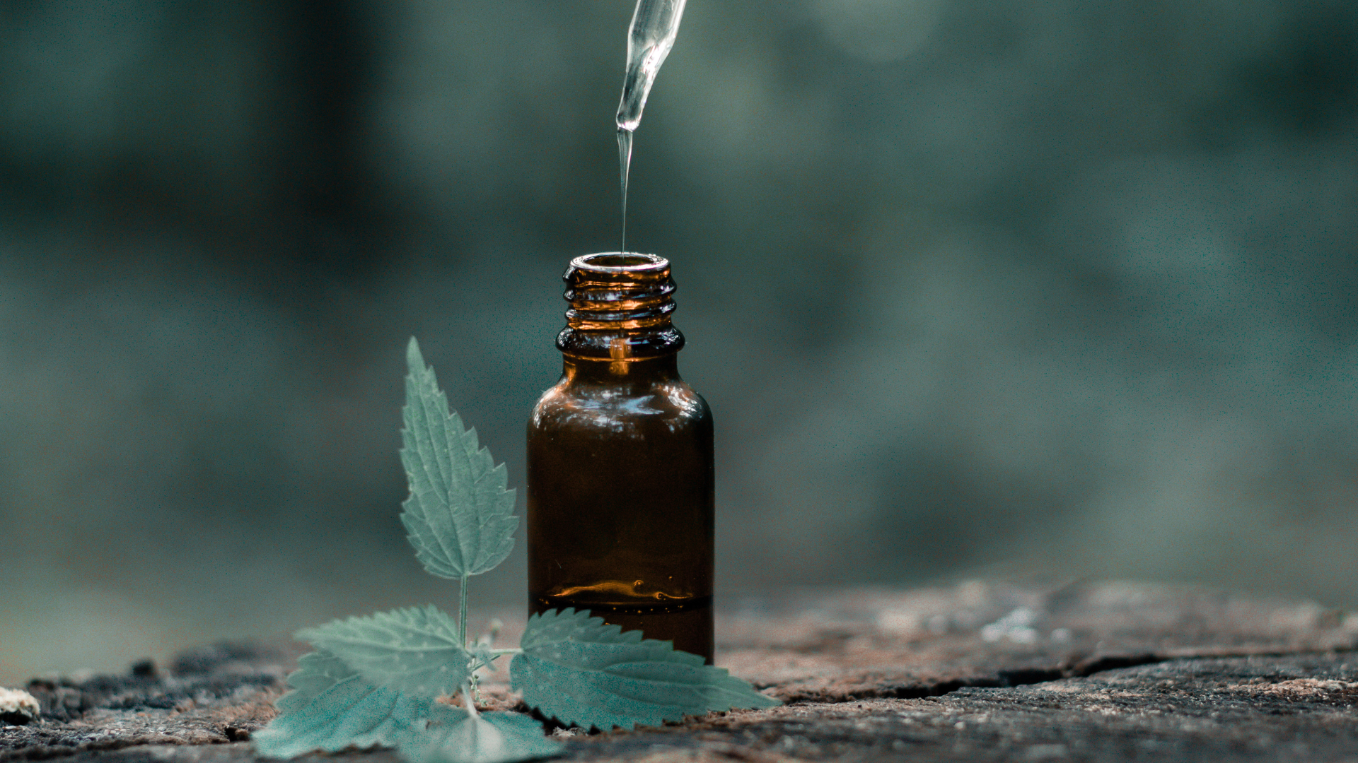 A bottle of essential oil with a dropper being poured into it.