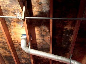 Mold Remediation