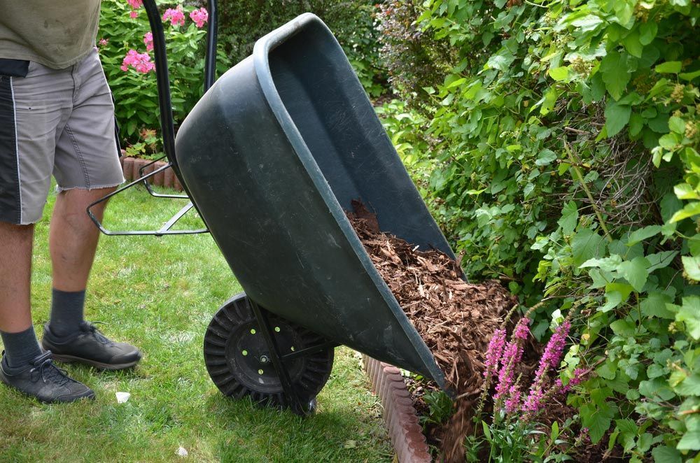 A Man Is Pushing a Wheelbarrow Full of Mulch in A Garden — Gnomes Landscape & Garden Supplies In Hallidays Point, NSW