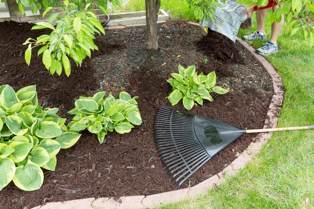 A Person Is Raking Mulch in A Garden with A Rake — Gnomes Landscape & Garden Supplies In Harrington, NSW