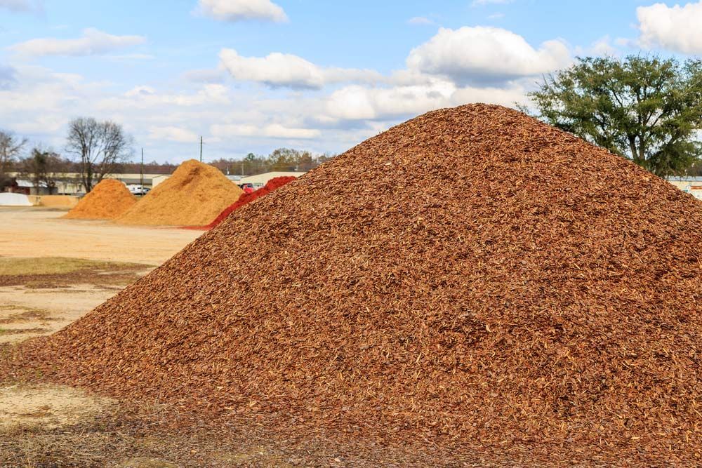 A Pile of Wood Chips Is Sitting on Top of A Dirt Field — Gnomes Landscape & Garden Supplies In Hallidays Point, NSW