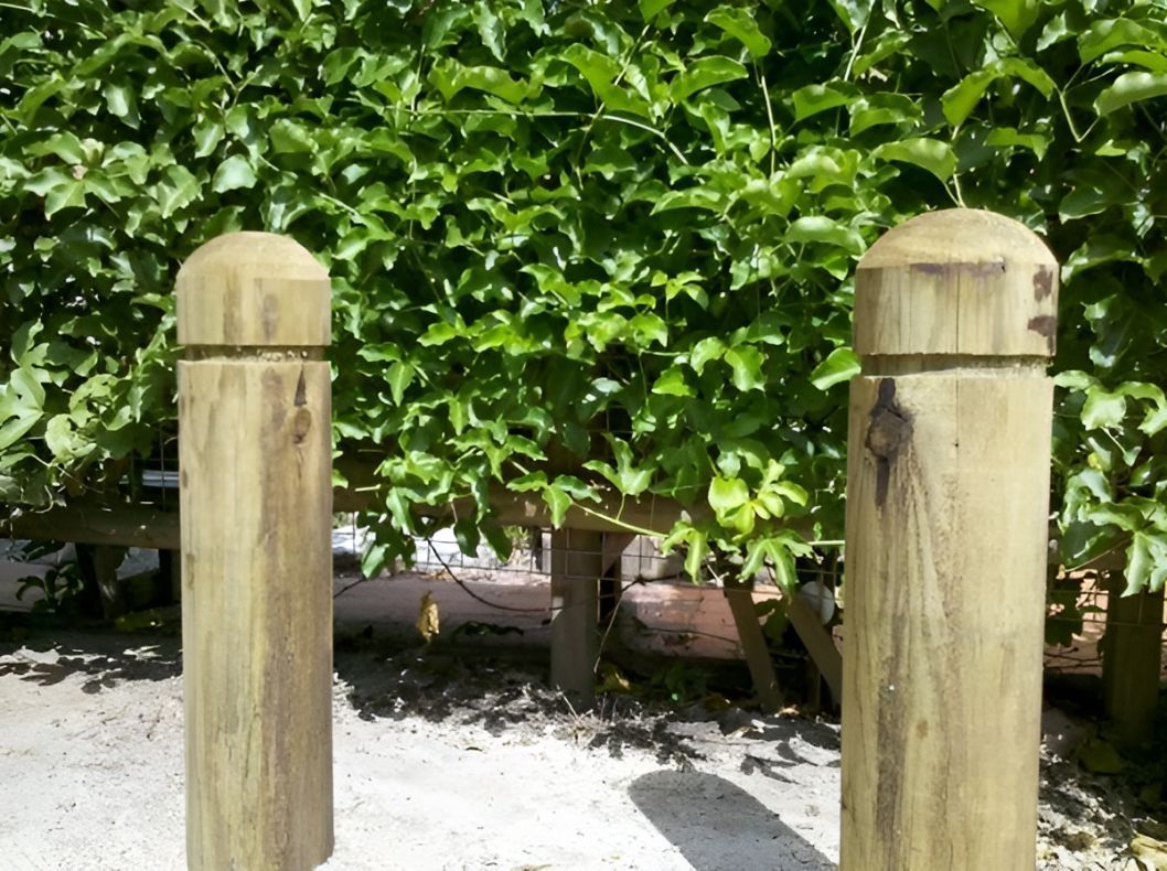 Two Wooden Poles Are Sitting Next to Each Other in Front of a Bush — Gnomes Landscape & Garden Supplies In Taree South, NSW
