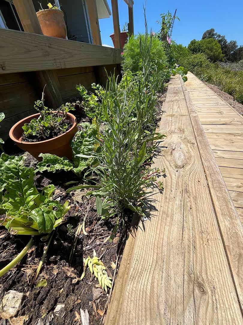 A Wooden Walkway Surrounded By Plants And Potted Plants — Gnomes Landscape & Garden Supplies In Harrington, NSW