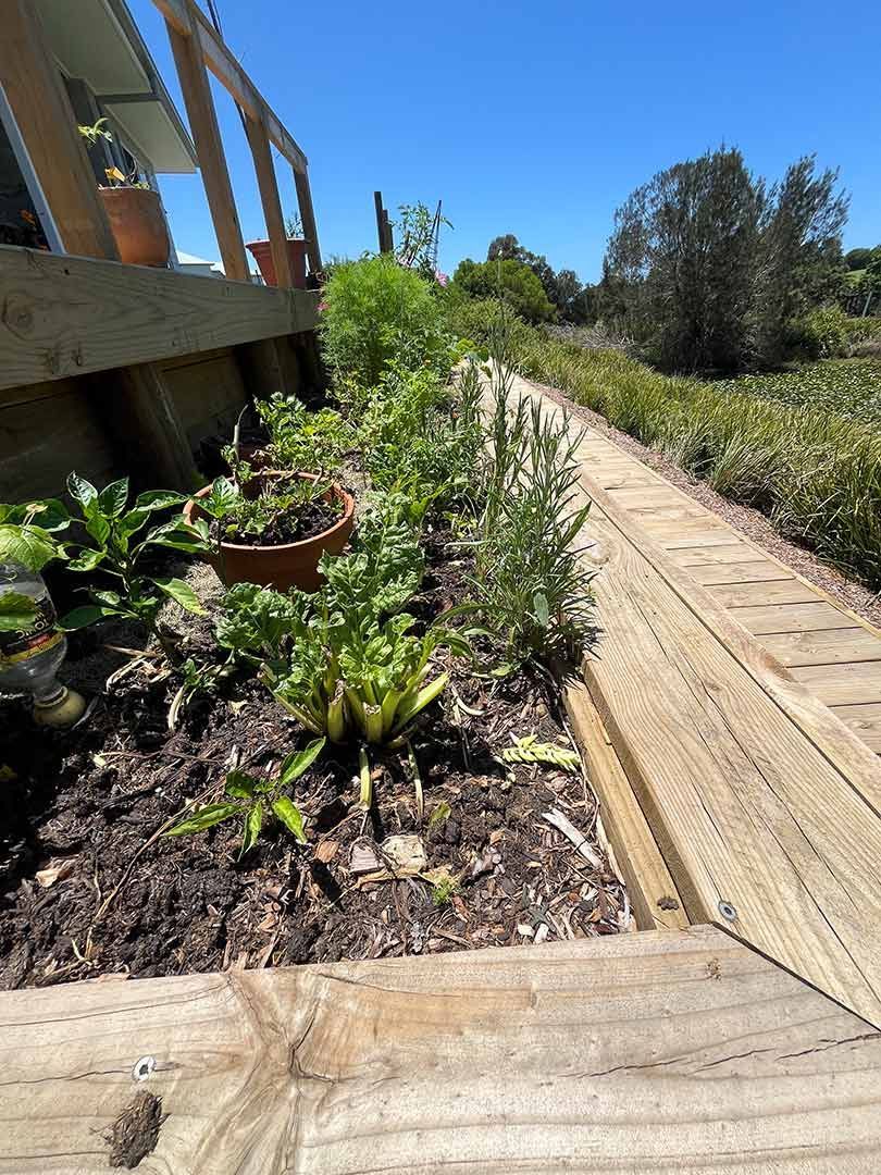 A Wooden Walkway Leading To A House Surrounded By Plants And Trees — Gnomes Landscape & Garden Supplies In Taree South, NSW